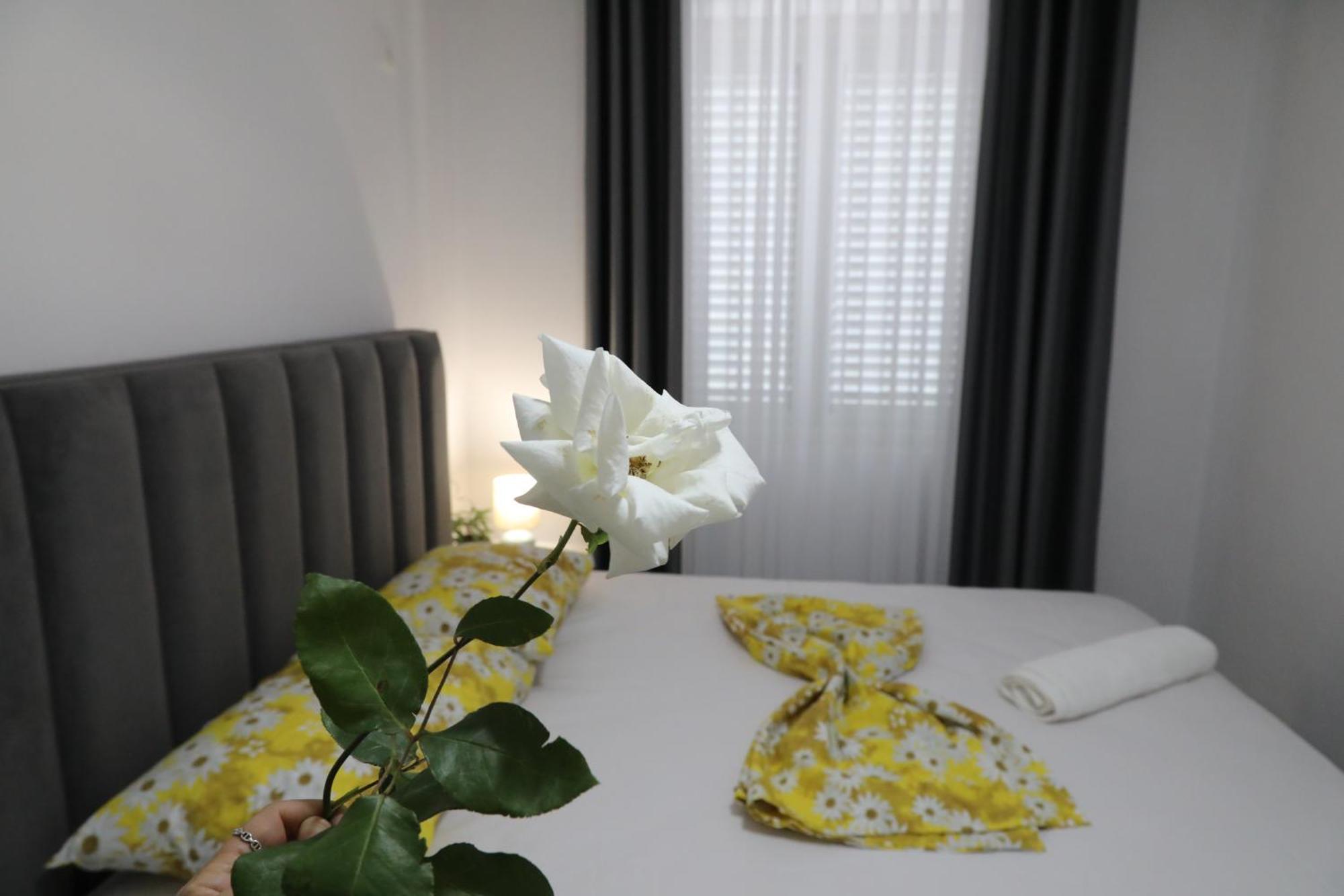 Rozafa Guest Room Center Shkodër Exteriér fotografie